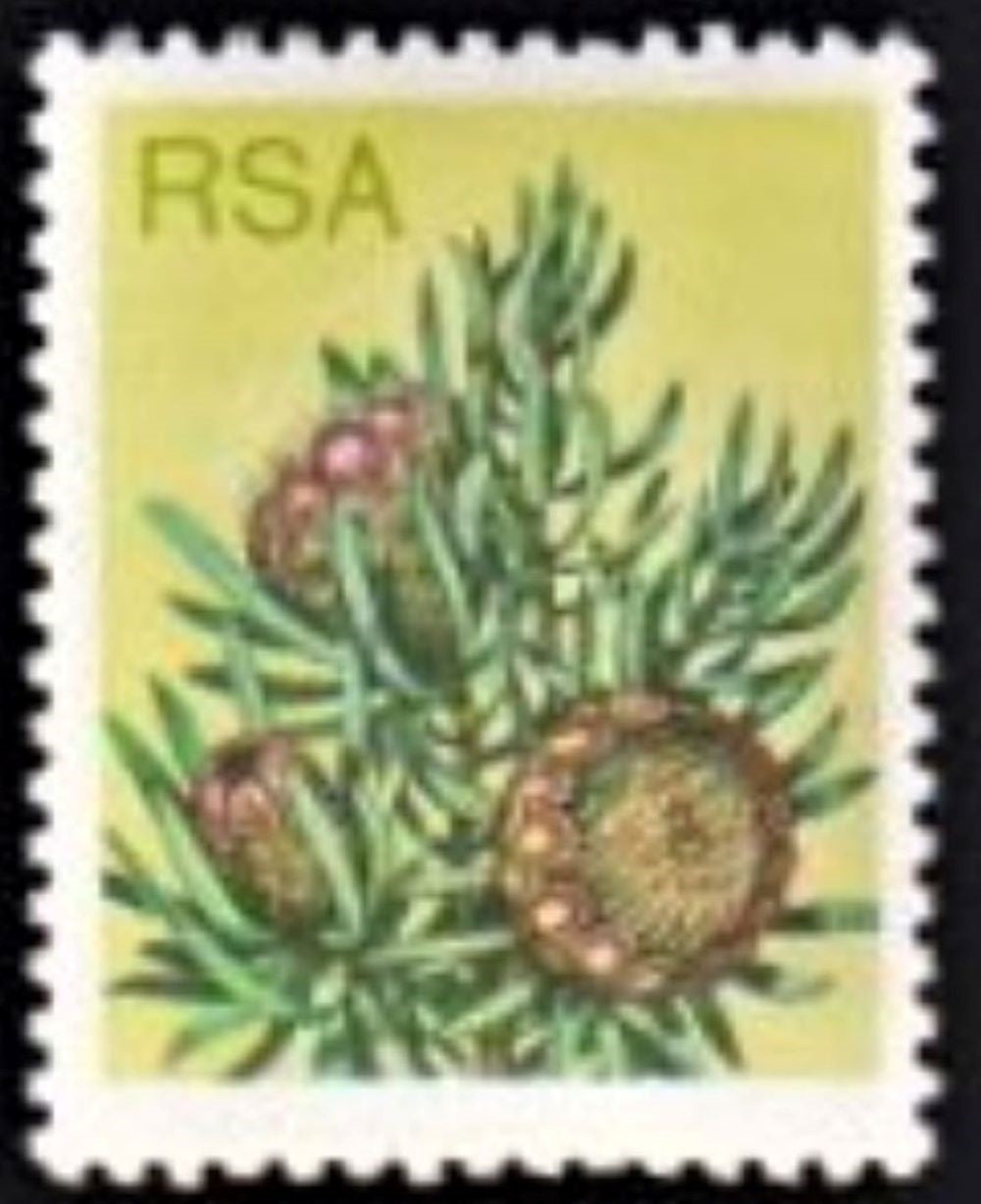 RSA 1977 6c PROTEA VALUE OMITTED – EASTGATE Stamps