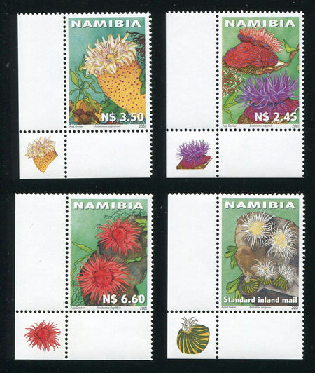 2008 3 March . Euphorbias of Namibia