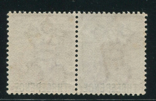 CAPE OF GOOD HOPE 1880 SCARCE 3d OVERPRINT PAIR MNH!