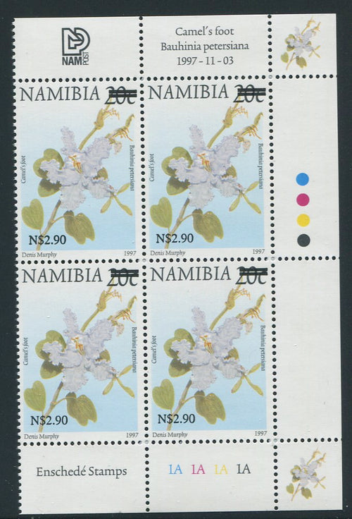 NAMIBIA 2005 N$2.90  SURCHARGE CONTROL BLOCK - SACC 482 TYPE 1