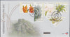 RSA 2013  FDC 8.47/8  KIRSTENBOSCH CENTENARY